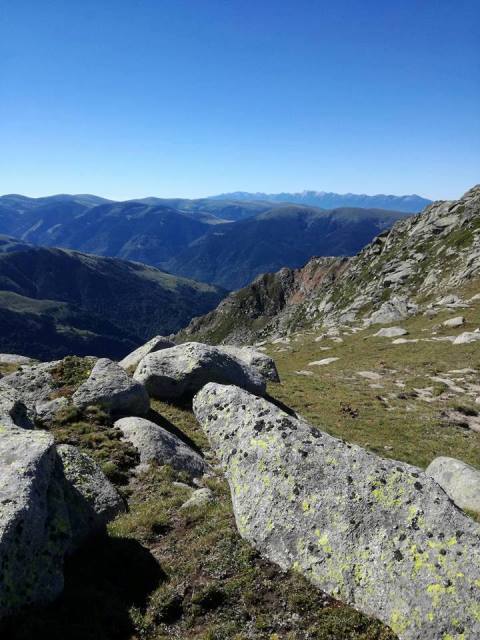 rila-24