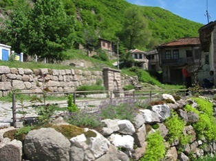 jrebino 1 3